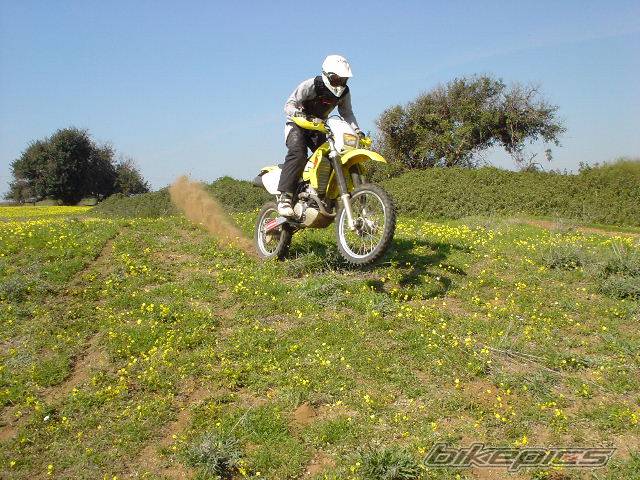 Photo 299764