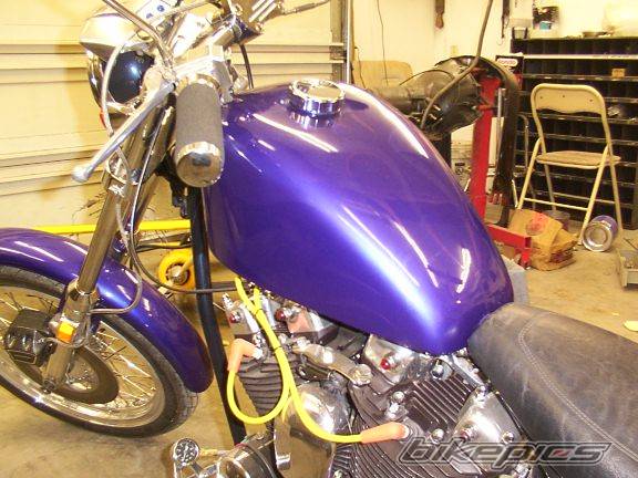 Photo 299768