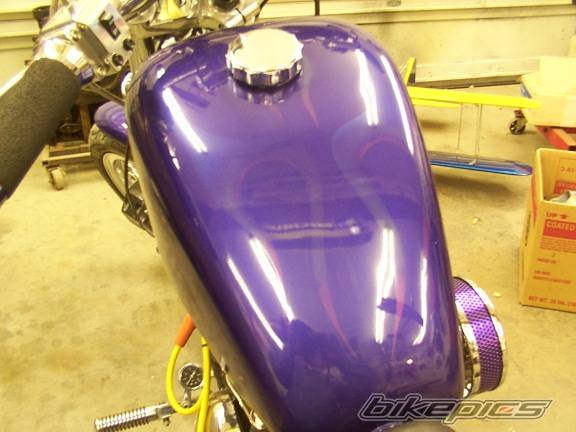 Photo 299769