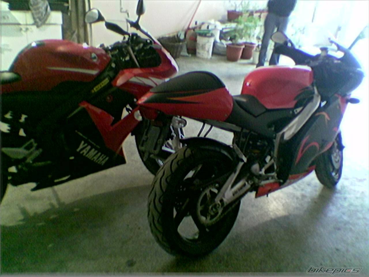 Photo 299779