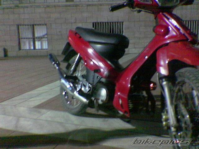Photo 299793