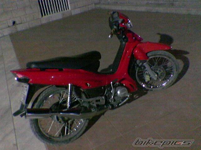 Photo 299796