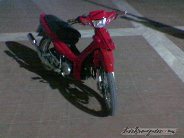 Photo 299797