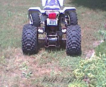 Photo 29980
