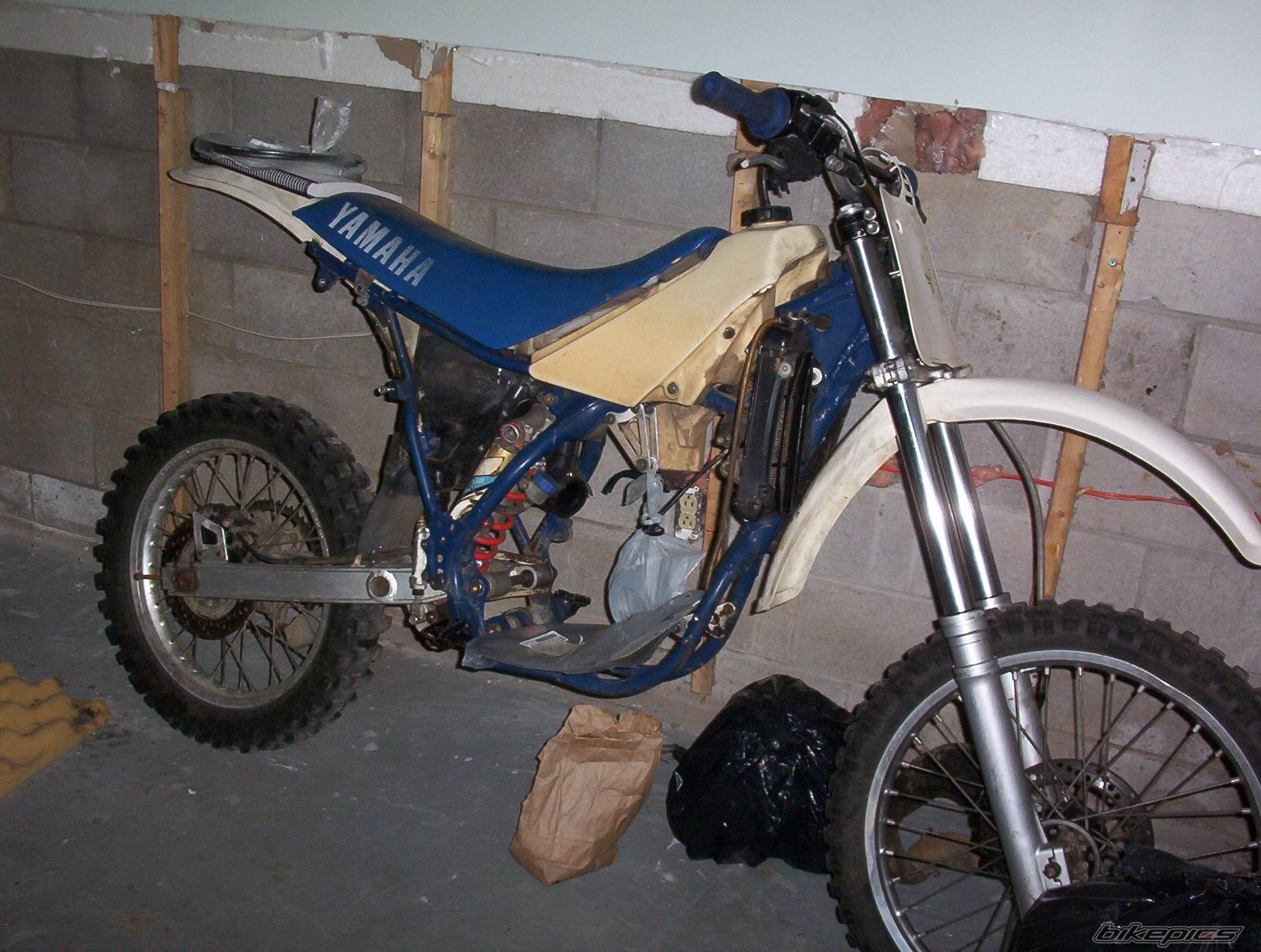 Photo 299828