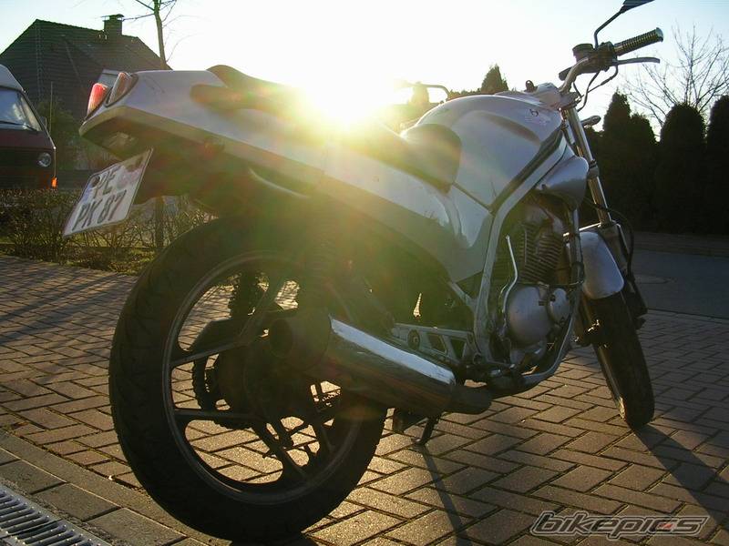Photo 299841