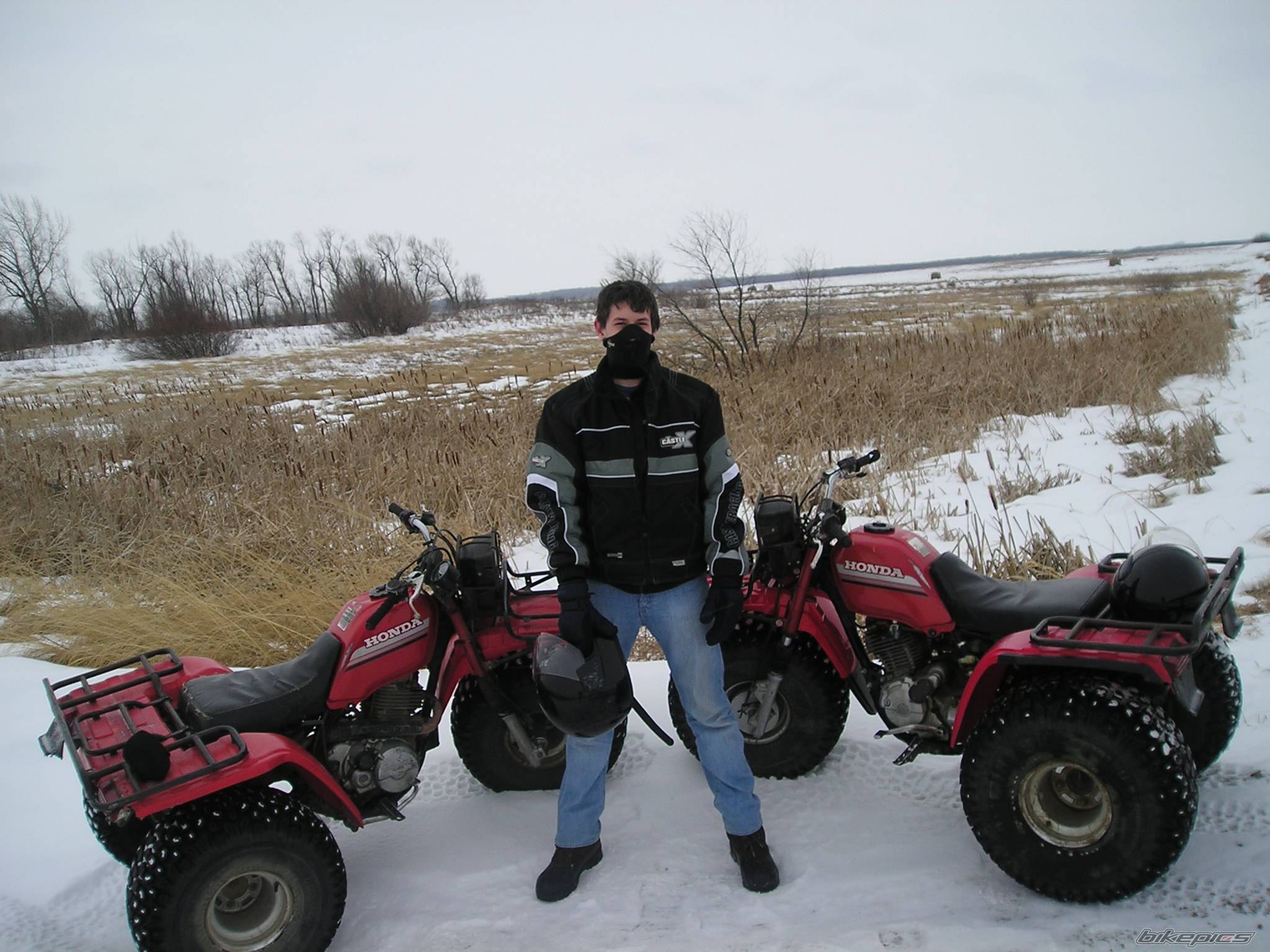 Photo 299863