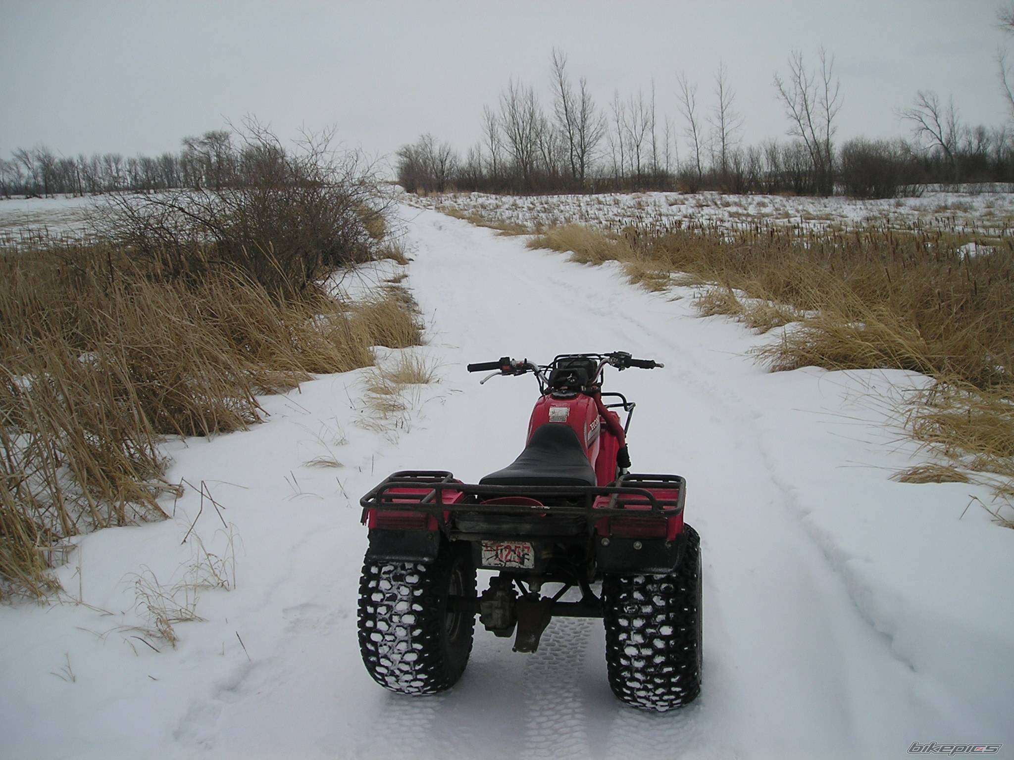 Photo 299864
