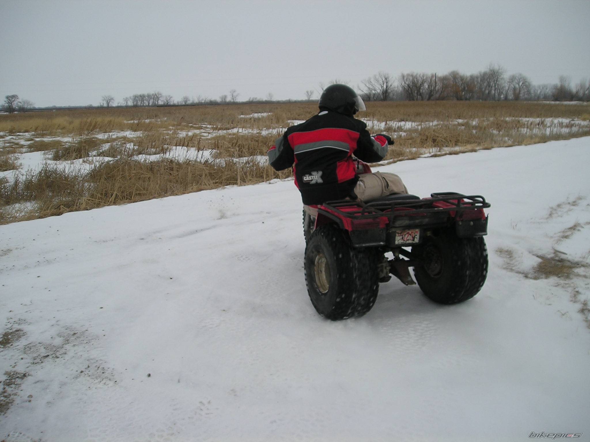 Photo 299866