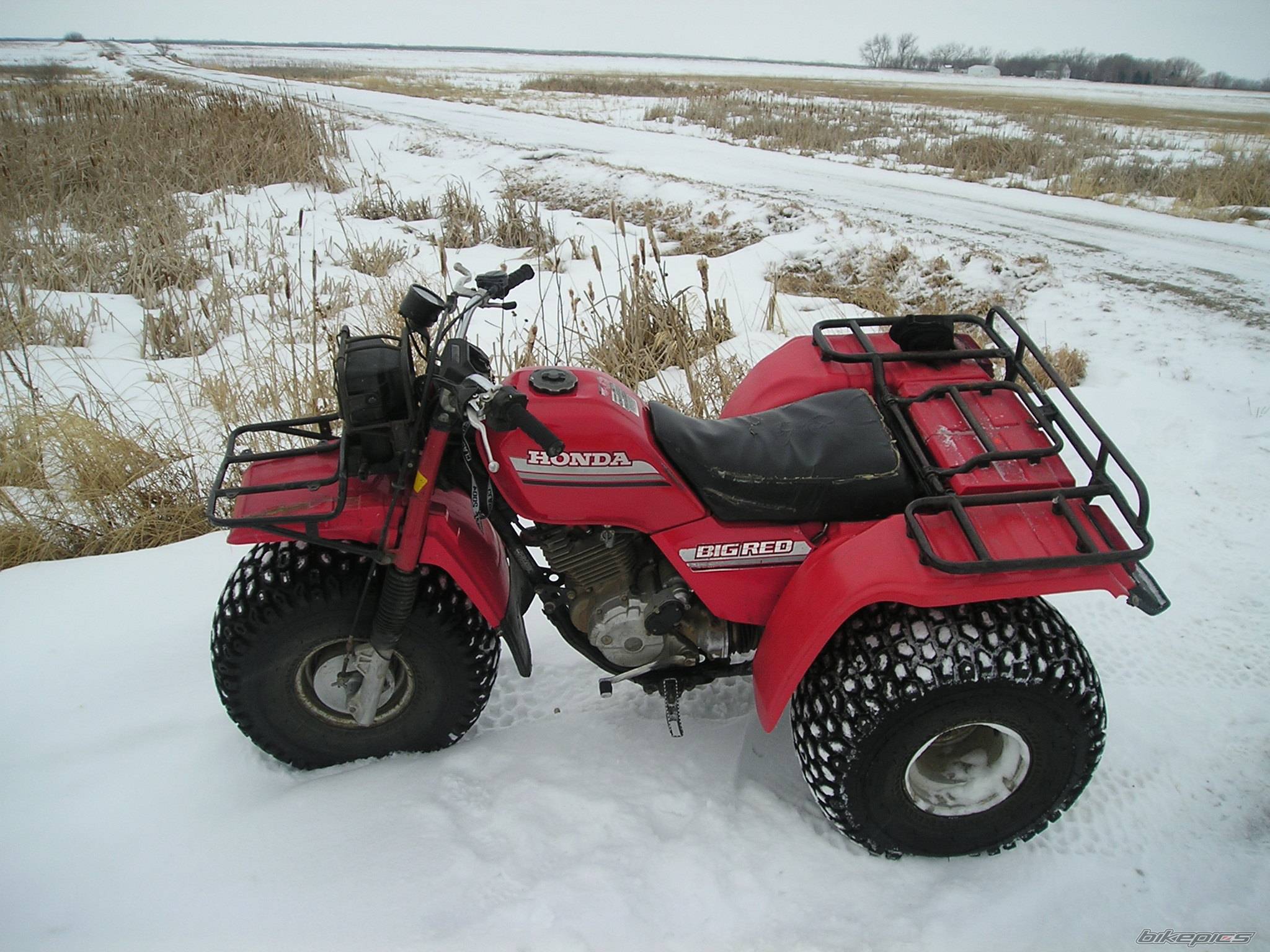 Photo 299868