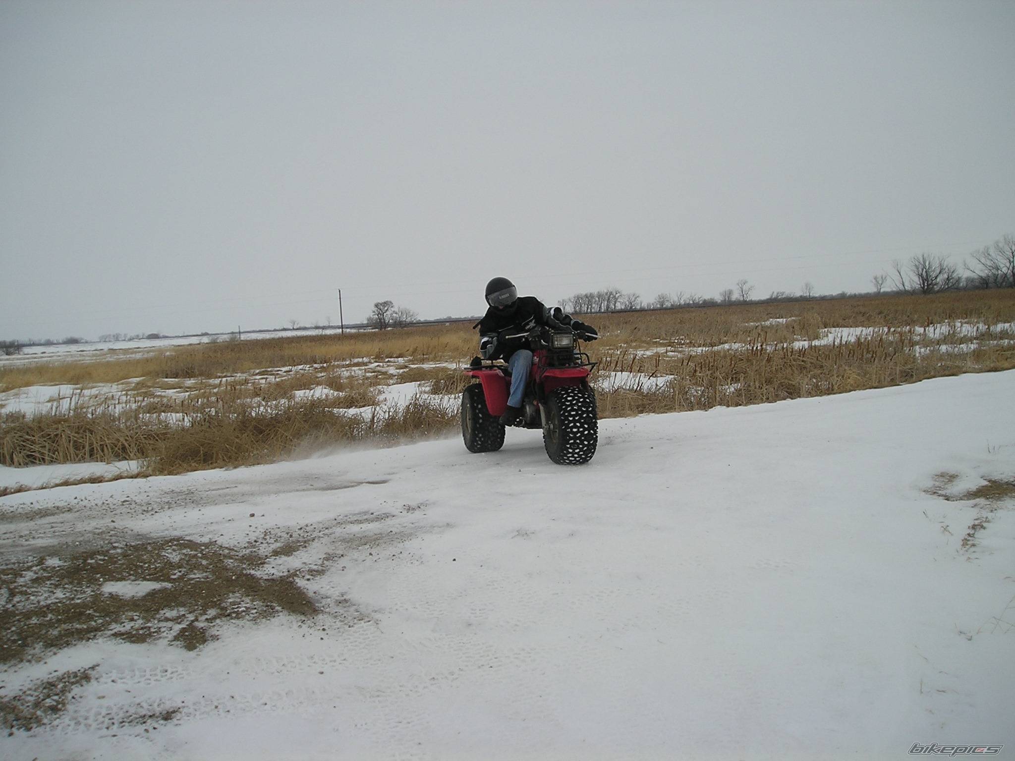 Photo 299874