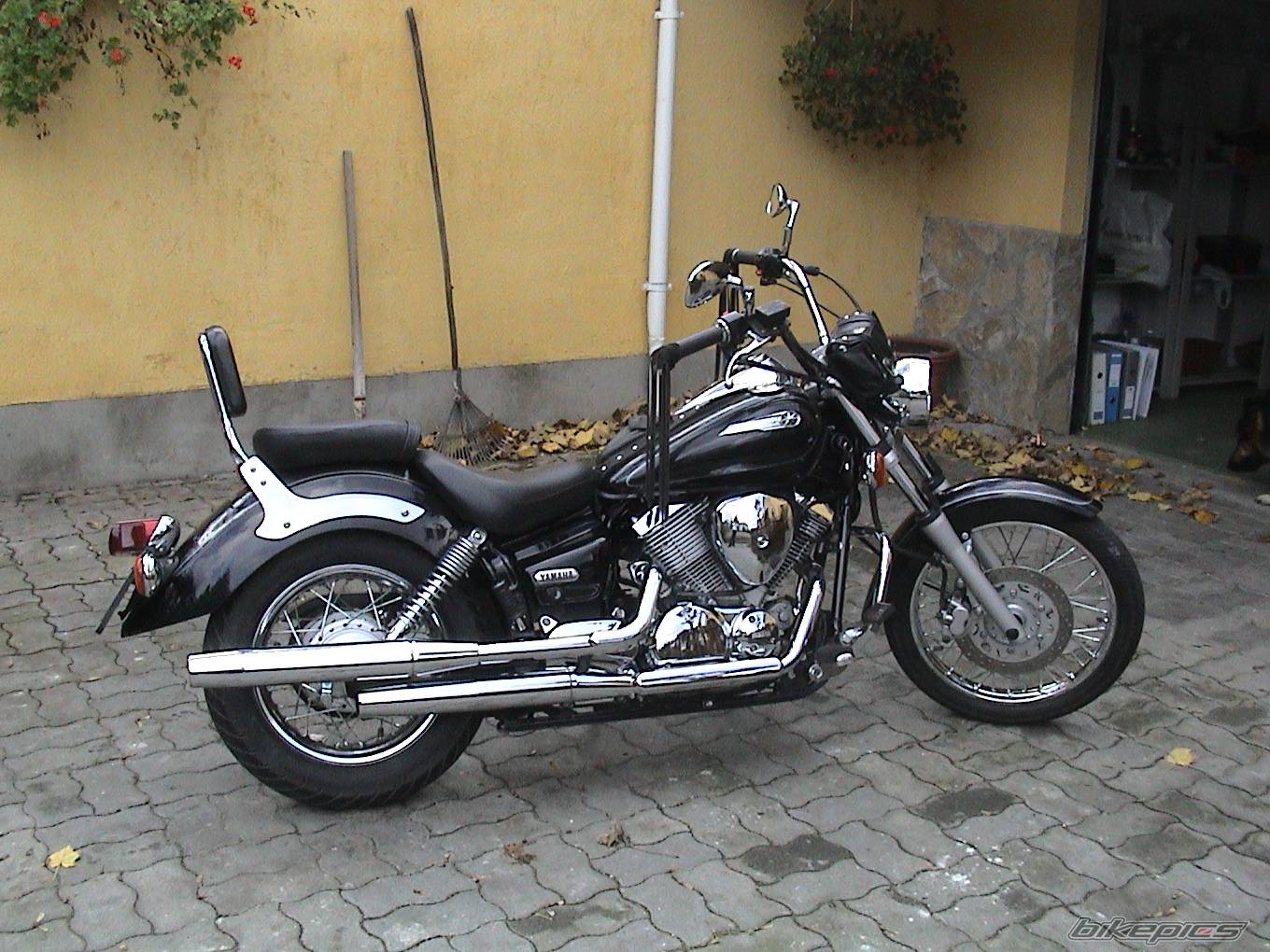 Photo 299887