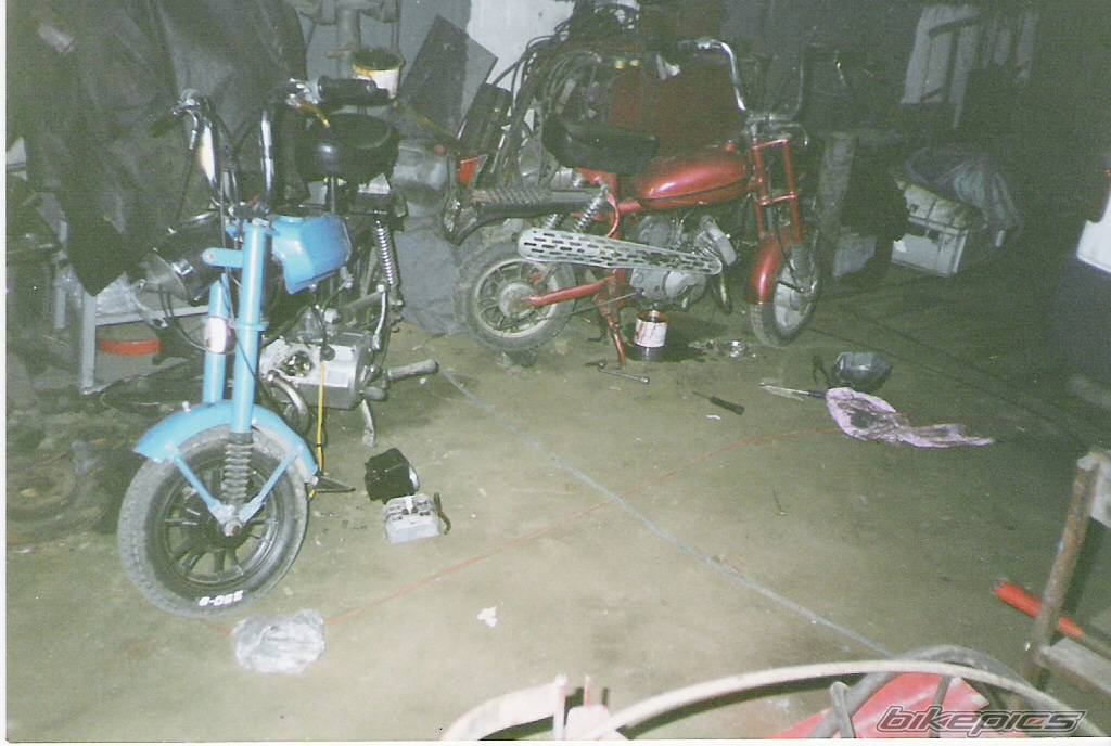 Photo 299909