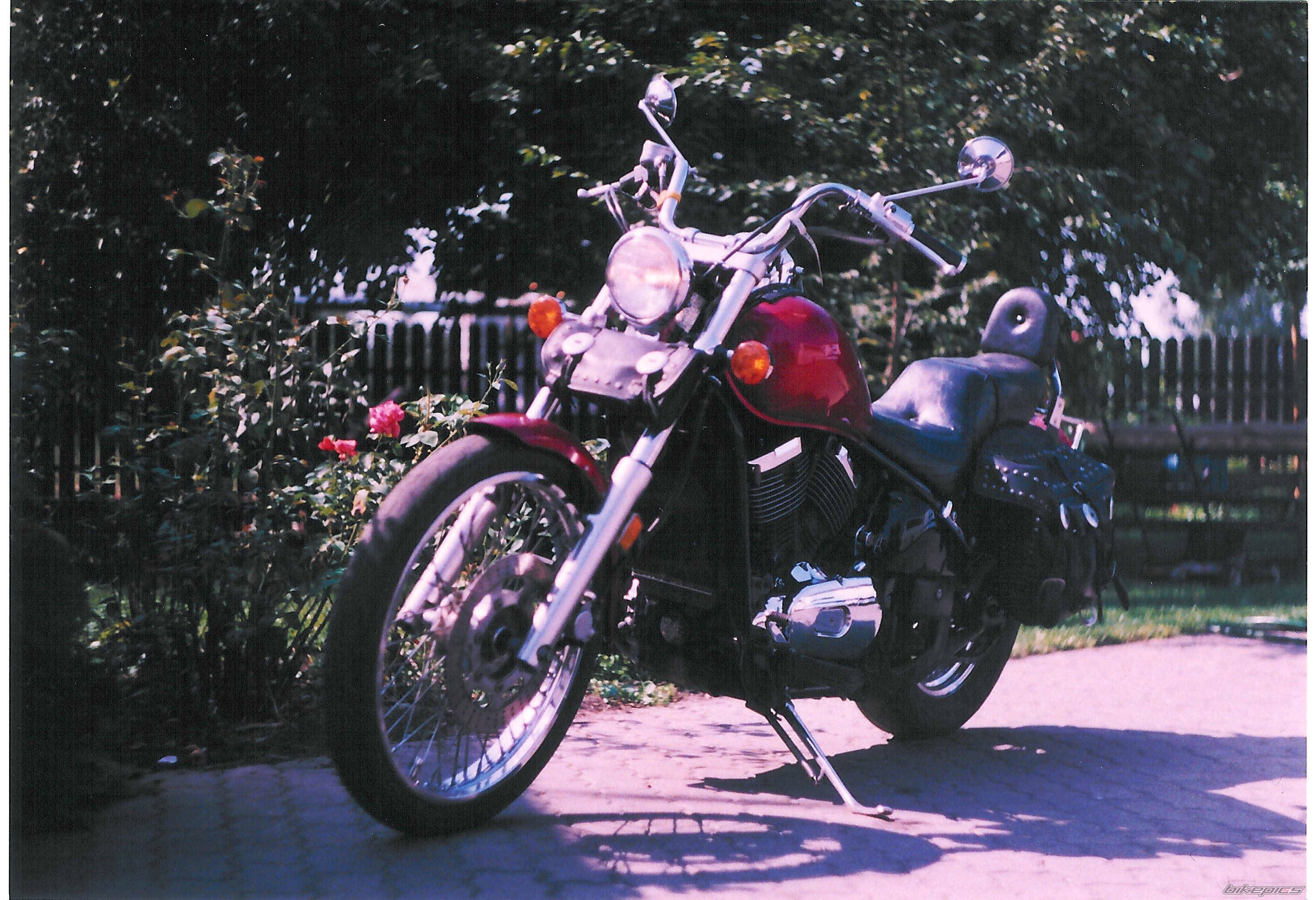 Photo 299932