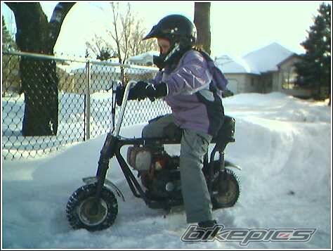 Photo 299937