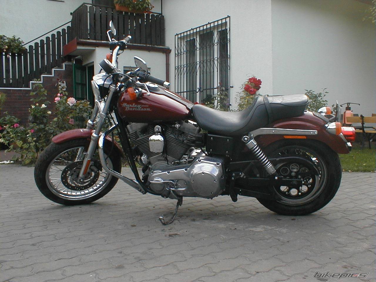 Photo 299949