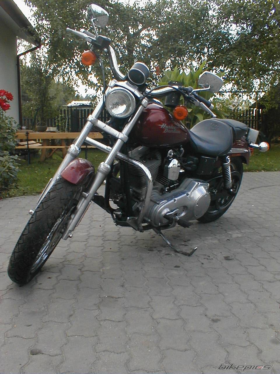 Photo 299951