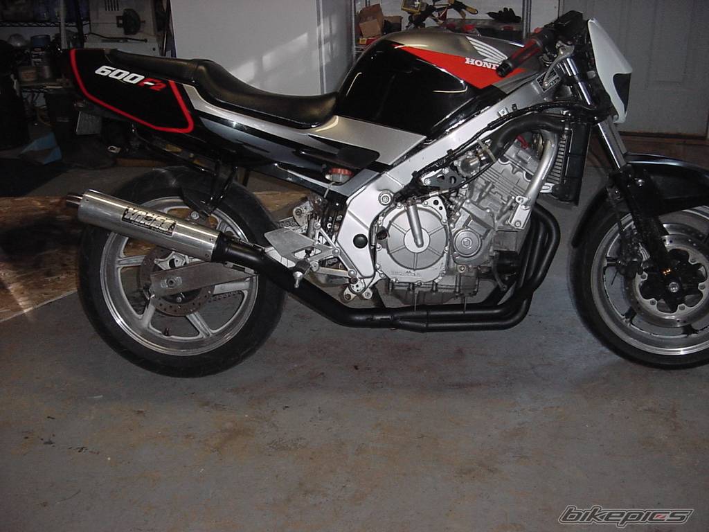 Photo 299972