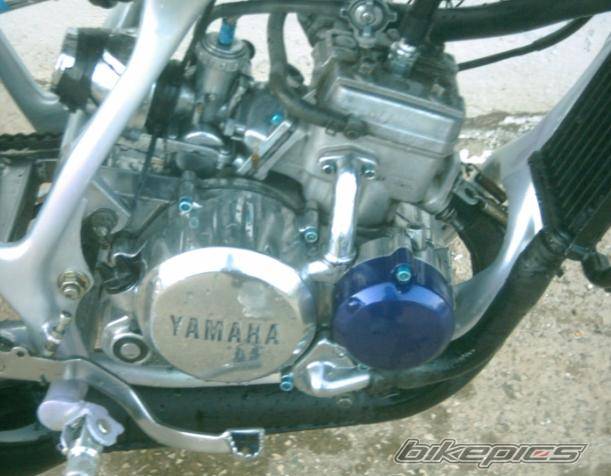 Photo 299977