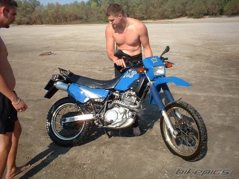 Photo 299995