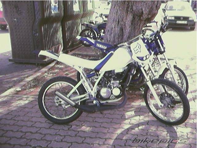 Photo 300015