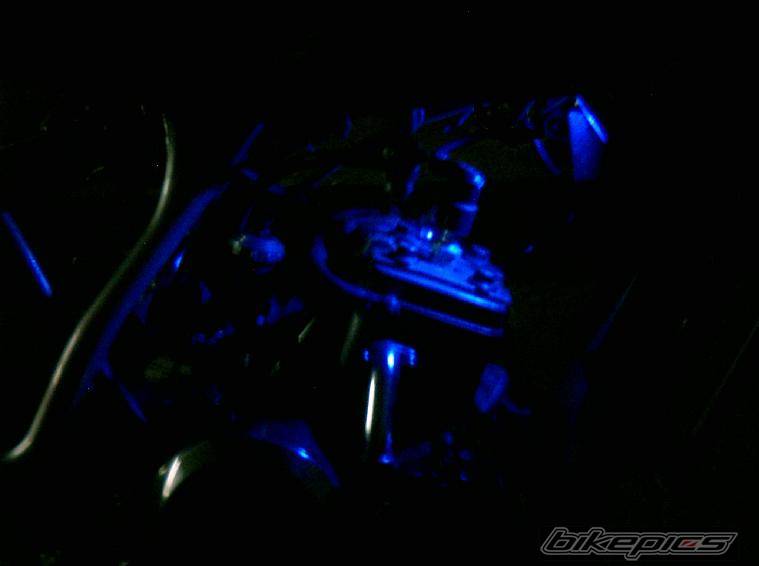 Photo 300025