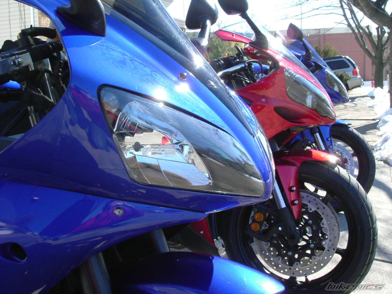 Photo 300039