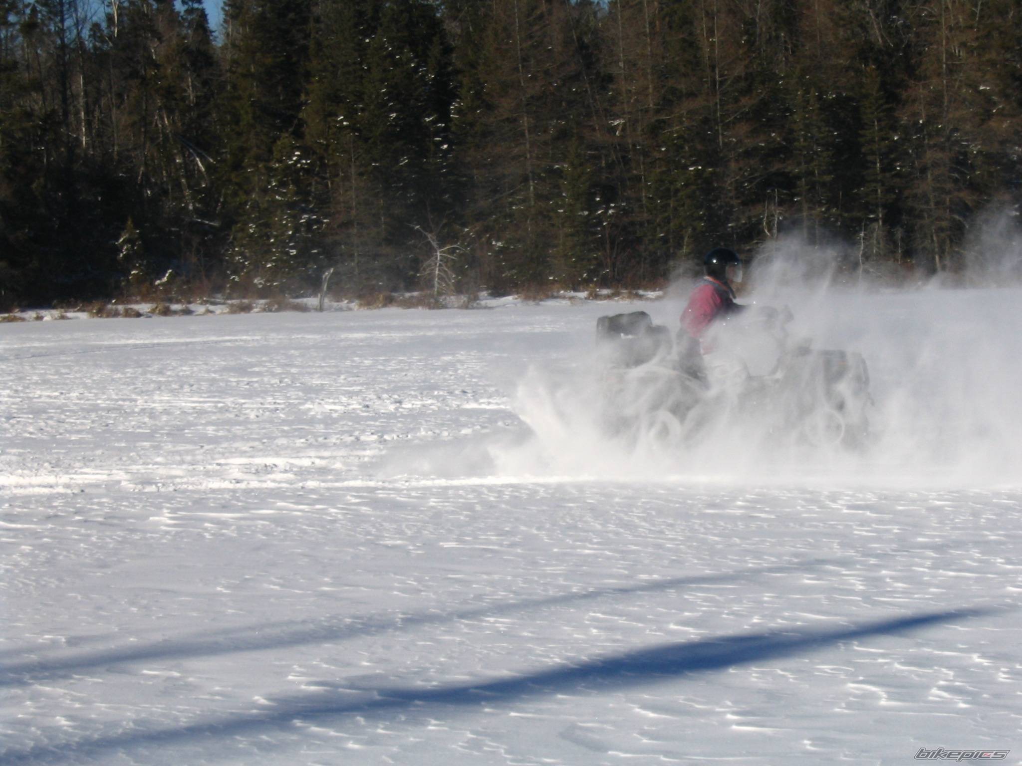 Photo 300051