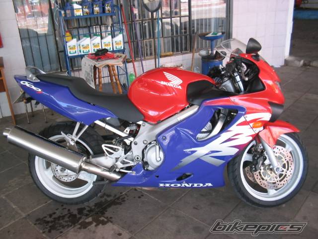 Photo 300082