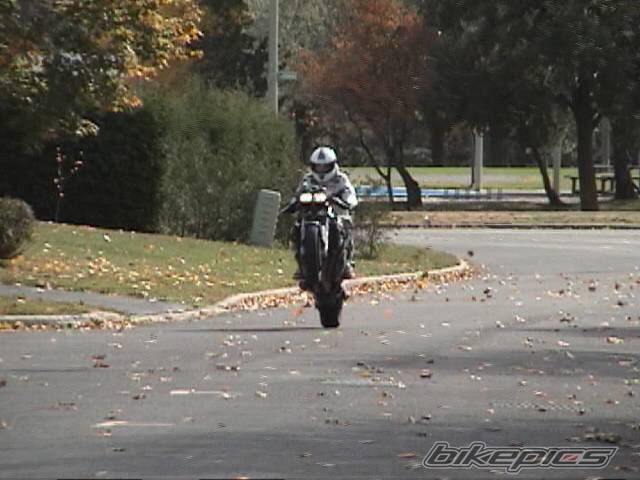 Photo 300131