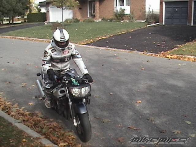 Photo 300133