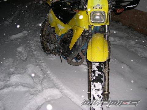 Photo 300167