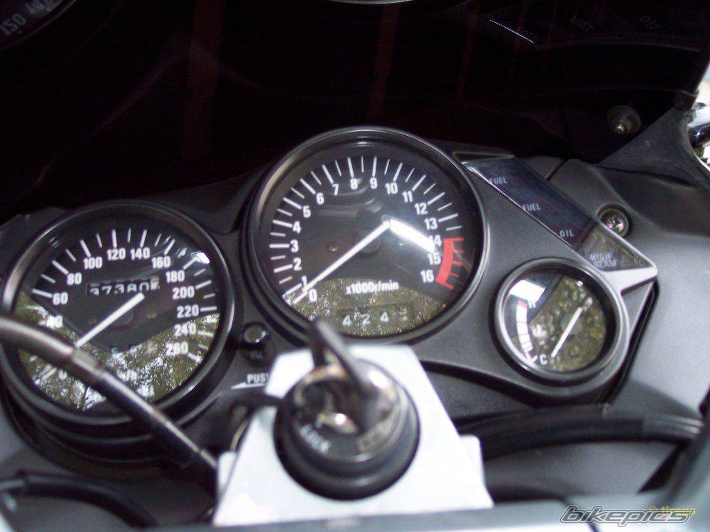 Photo 300205