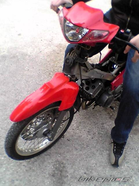 Photo 300237