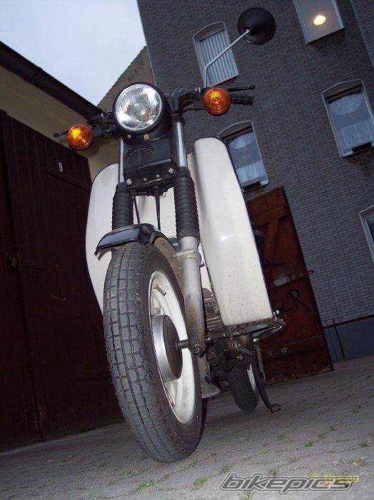 Photo 300262