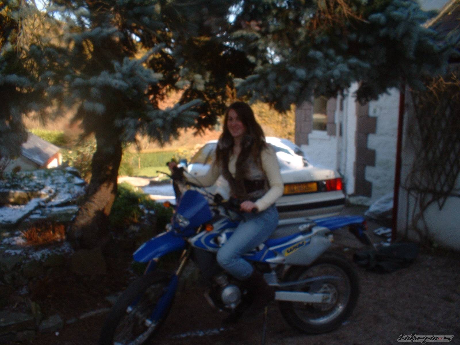 Photo 300288