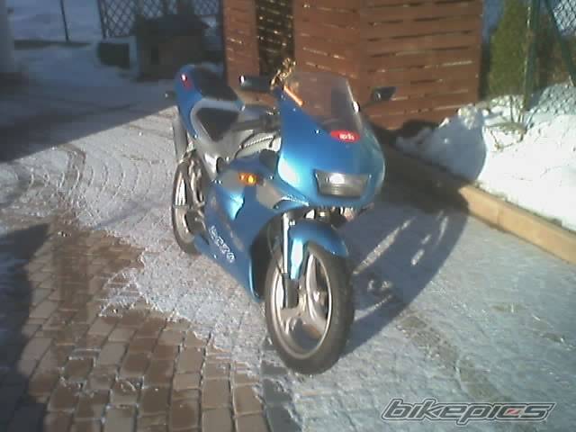 Photo 300388