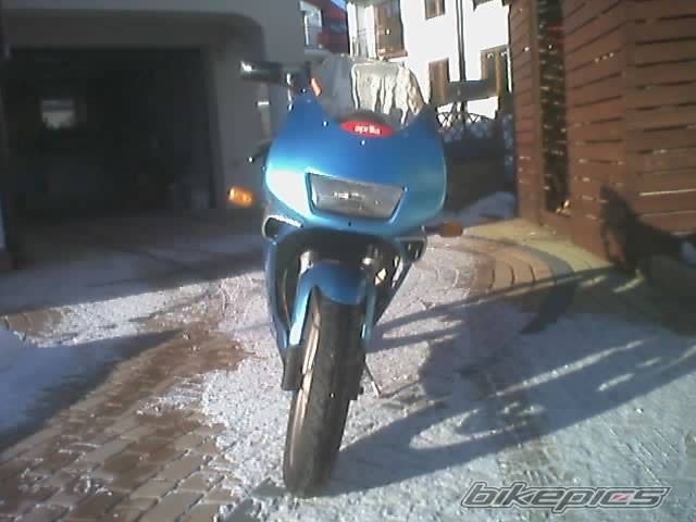 Photo 300389