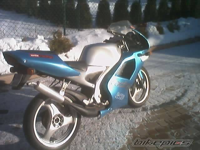 Photo 300394