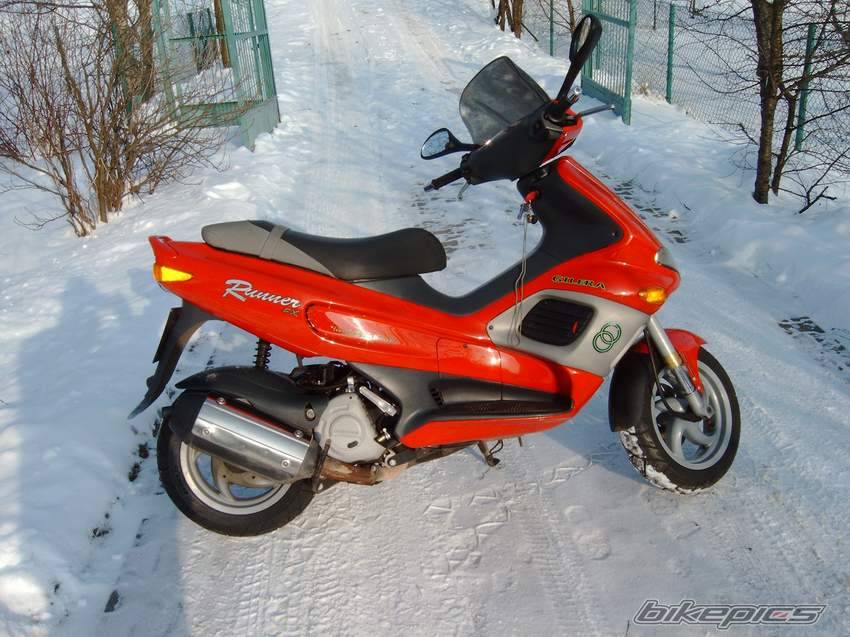 Photo 300395
