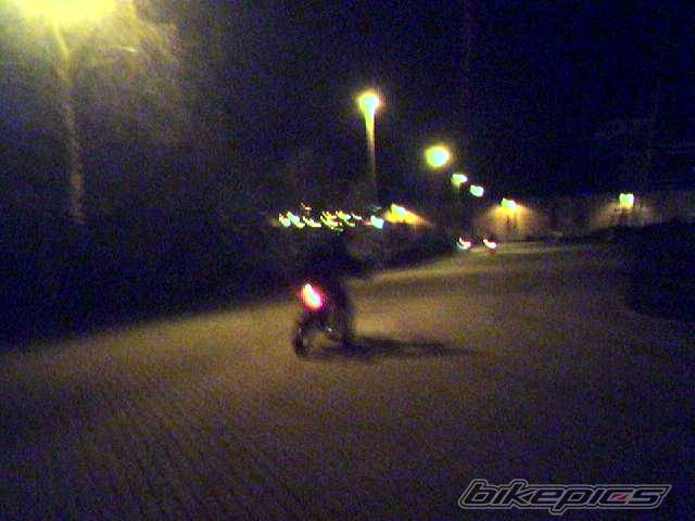 Photo 300487