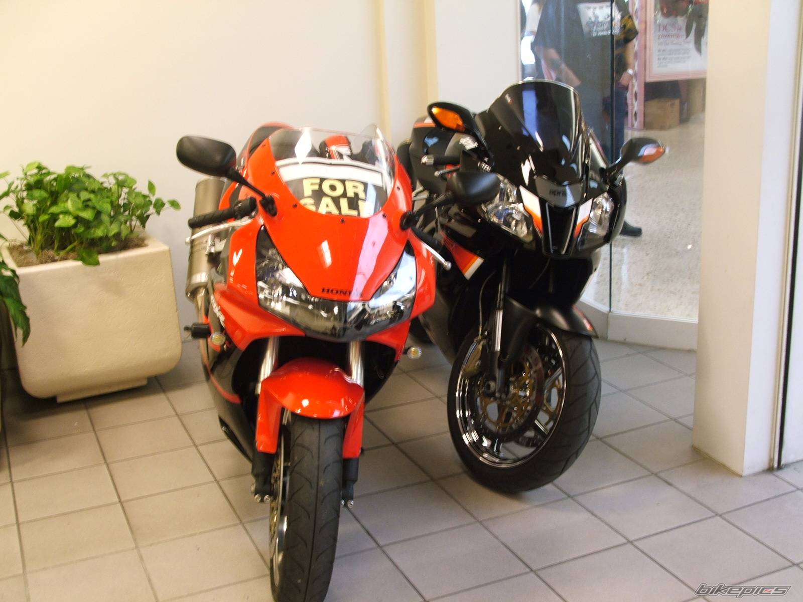 Bike Photo 300547