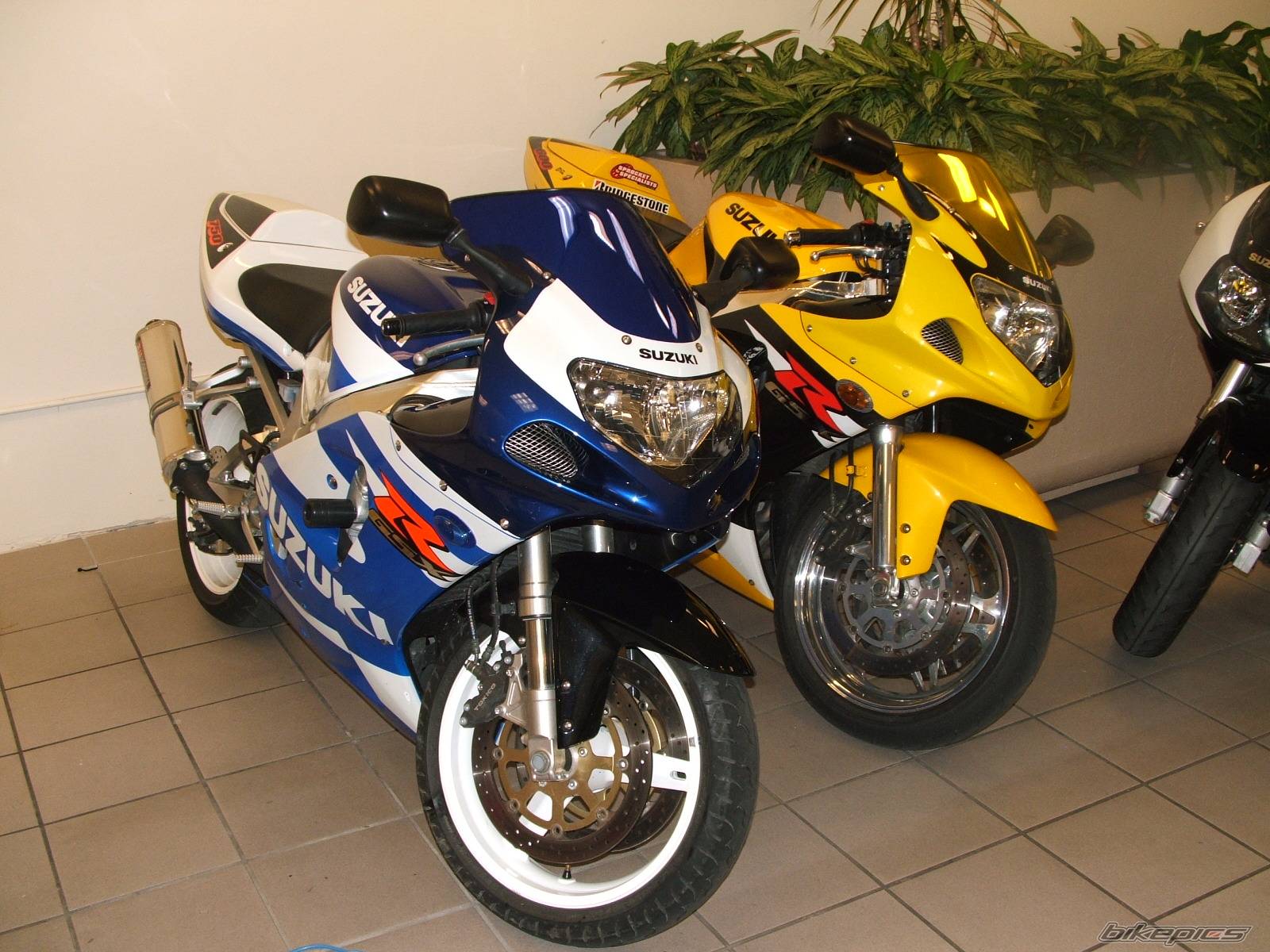 Bike Photo 300549