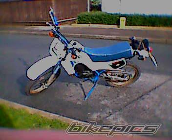 Photo 300613