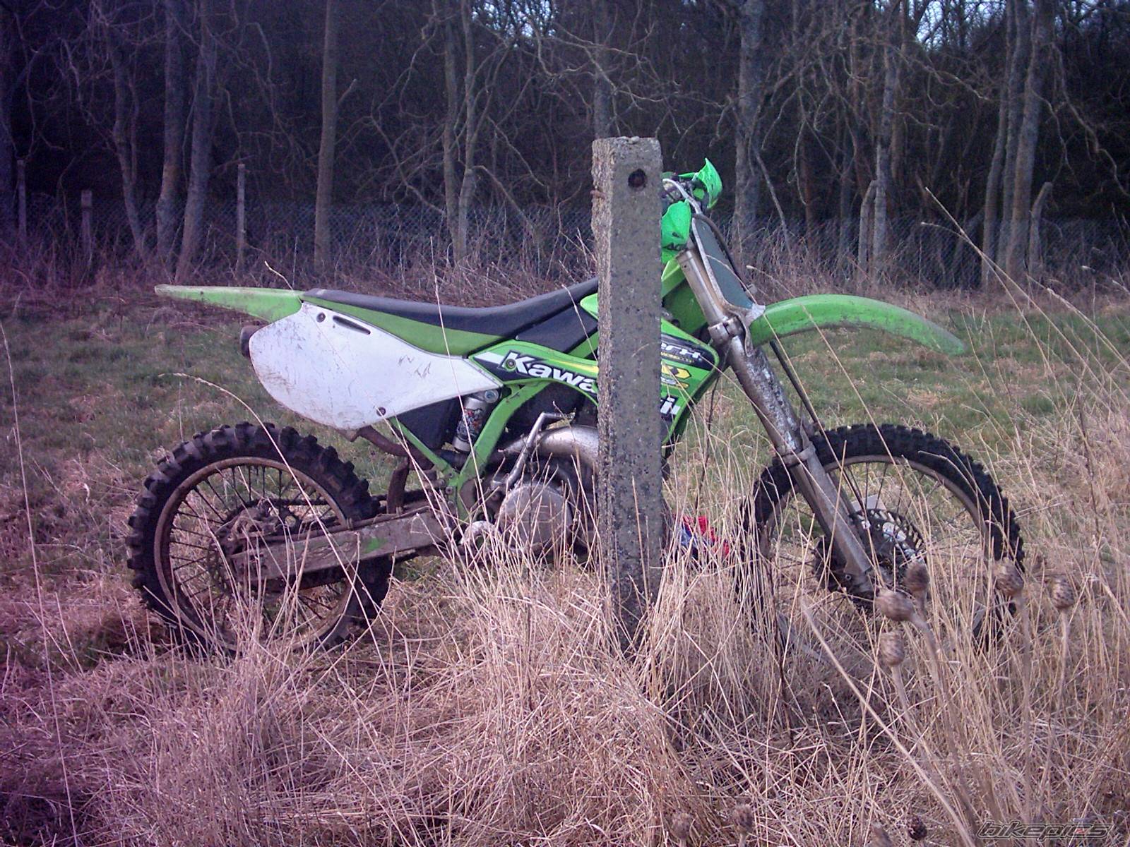 Photo 300635