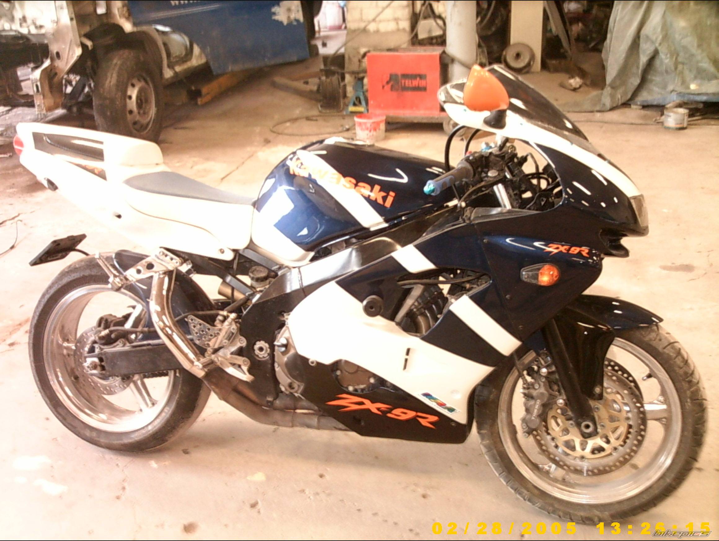 Photo 300637