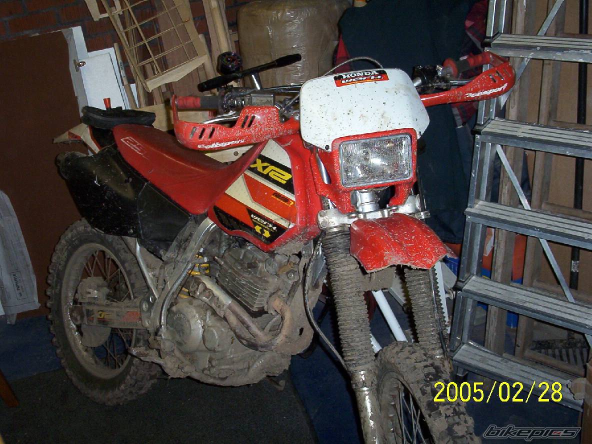 Photo 300672