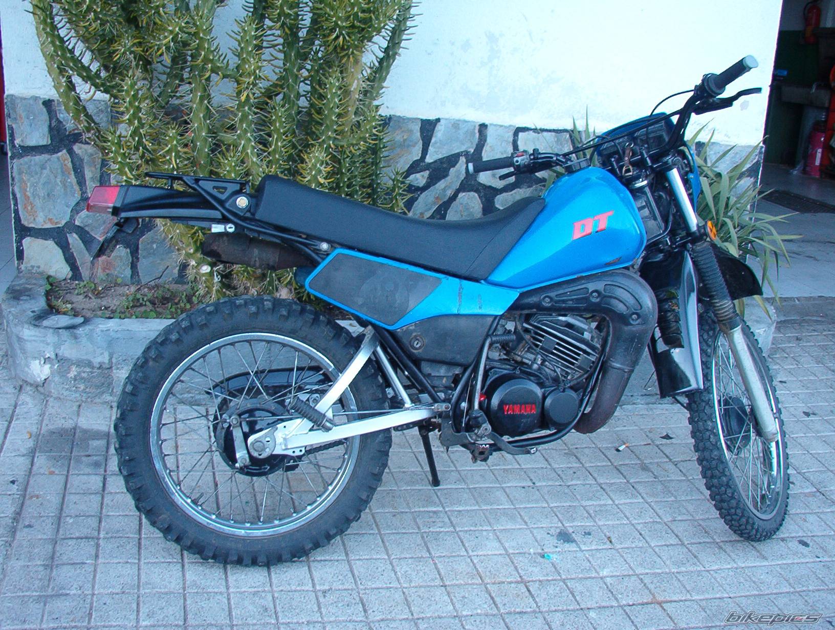 Photo 300678