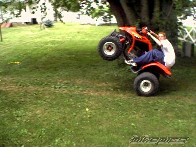 Photo 30070