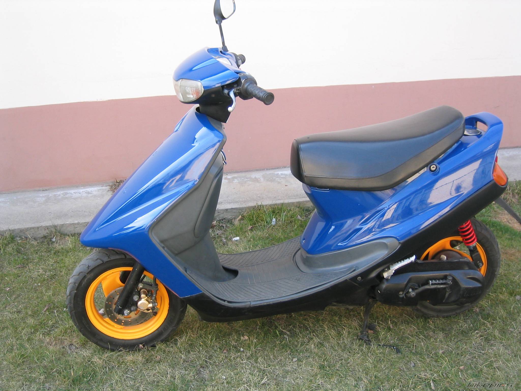 Photo 300725